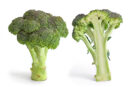 Fresh Broccoli Crowns