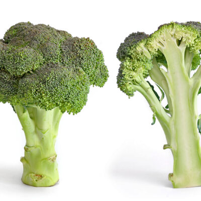 Fresh Broccoli Crowns