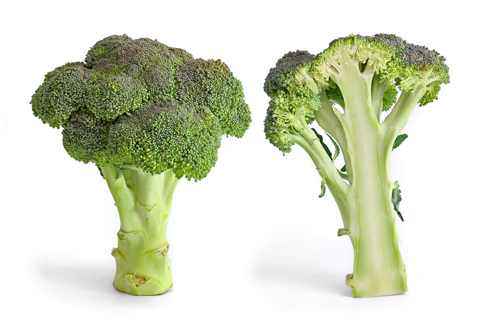 Fresh Broccoli Crowns